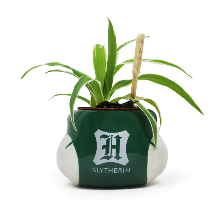 🐍💚 Harry Potter – Serpentard – Pot pour plante 3D 💚🐍