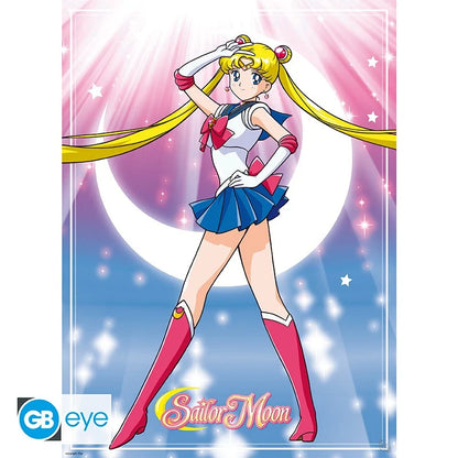 🌙🐱 Sailor Moon – Sailor Moon & Chats – Set de 2 posters 52 x 38 cm 🐱🌙