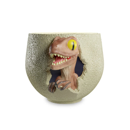 🦖🥚 Jurassic Park – Vélociraptor dans l’œuf – Bol 3D 800 ml 🥚🦖