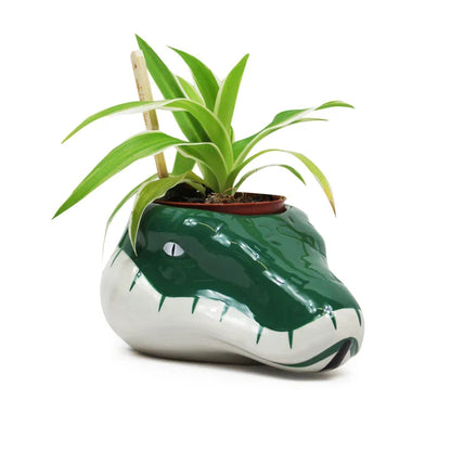 🐍💚 Harry Potter – Serpentard – Pot pour plante 3D 💚🐍