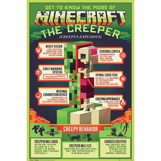 🖼️💥 Poster Collector – Minecraft – The Creeper (Creepus Explodus) – 61 x 91 cm 💥🖼️