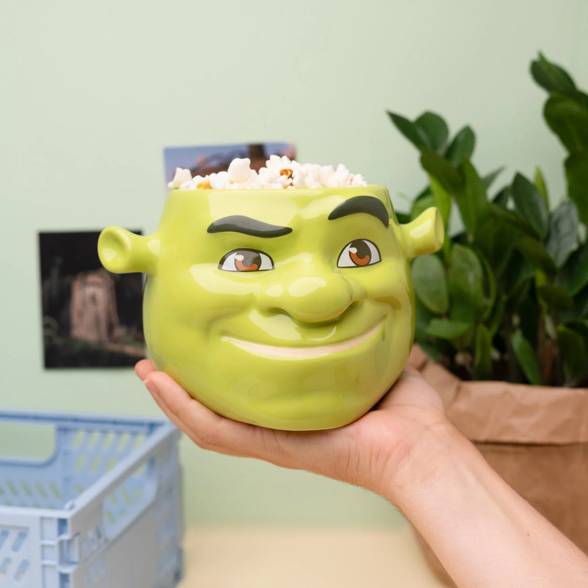 🧅💚 Shrek – Head (Tête de Shrek) – Bol 3D 1 L 💚🧅